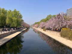 -海棠花溪(元大都城垣遗址公园)