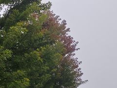 -北京宽沟会议中心