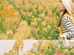 -中国天府农业博览园