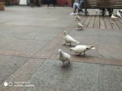 -知味观(湖滨总店)