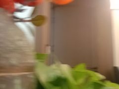 -纪林菜馆·博山菜老字号(华光路店)