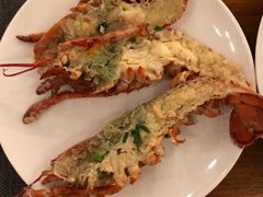 -上海雅居乐万豪侯爵酒店
