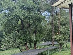 -野蔓果·山野菜(西湖景区·龙井茶田店)