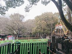 -WeLope紫金山探险公园
