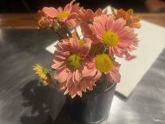 -Apollo·西班牙小酒馆(安福路店)