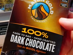 -尼诺伊·阿基诺国际机场T1航站楼