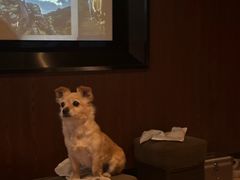 -新盈光·旗舰店(海曙苍松路店)