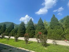 -北京十三陵国家森林公园蟒山景区