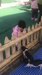 -萌宠亲子动物乐园(槐房万达店)