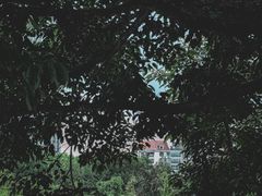 -缙云山景区
