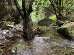 -宁波五龙潭景区