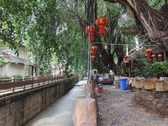 -汤锅大王(新平曹苏黄牛汤锅有限公司)