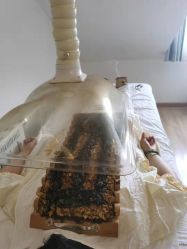 -佳医堂·小儿推拿·产后康复·脊柱养护(新华联家园店)