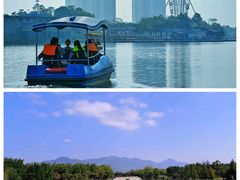 -飞来湖湿地公园