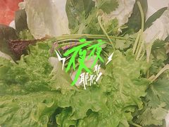 -蒙都43°9羊火锅·赤峰美食(桥北店)
