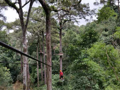 iphone_upload_pic-清迈丛林飞跃 JungleFlight