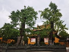 -圆通寺
