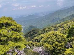 -梧桐山风景名胜区