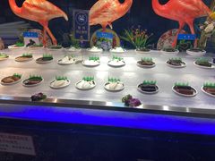 -五月罗马海鲜烤肉自助餐厅(印象城店)