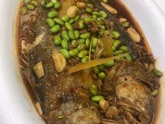 -苏启渔港(云南北路店)