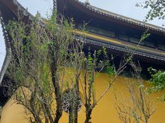 -西园寺素食(西园弄戒幢律寺店)