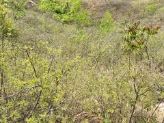 -云峰山自然风景区