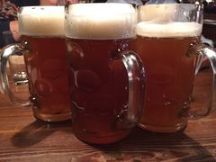 -宝莱纳啤酒花园餐厅PAULANER BRAUHAUS Nanjing(广州路店)
