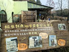 -红山森林动物园