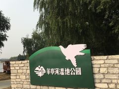 -羊亭河湿地公园