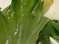 虾酱啫生菜胆-小炳胜(卓悦中心店)