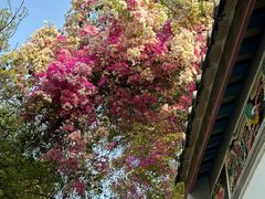 -深圳国际园林花卉博览园