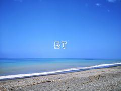 -鹿境梅花鹿生态园区
