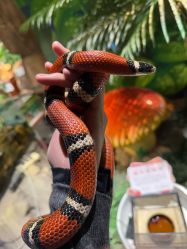 -酷嗒动物文化乐园(cutezoo西溪乐天城店)