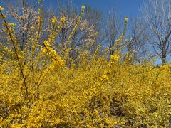 -永定河休闲森林公园