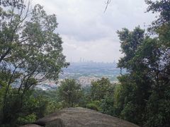 -火炉山森林公园