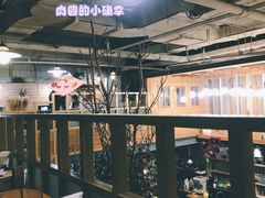 大堂-Cafe Alice咖啡爱丽丝(奥城店)