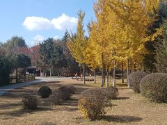 -沈阳鸟岛