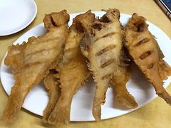 -林之六八·6886大连老菜馆