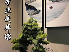 -小邓专业采耳馆(延安西路店)