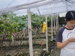 -陶缘一号·四季缘·老字号顺德菜·户外婚礼家宴(西滘店)