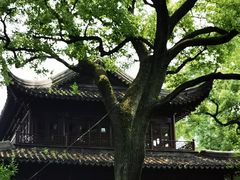 -豫园