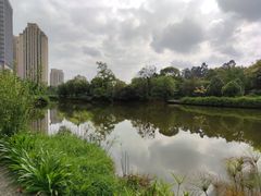 -上清·三文鱼鲜寿司(同德店)