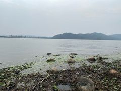 -东湖落雁景区
