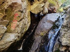 -云岫谷游猎自然风景区