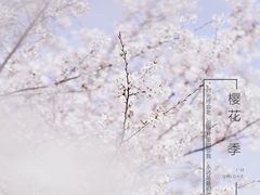 -石湖景区