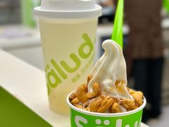 -Salud撒露欧洲冻酸奶(五道口购物中心店)