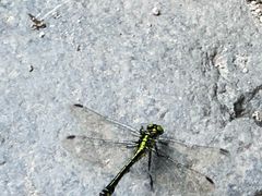 -碓臼峪自然风景区