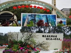 -南山植物园