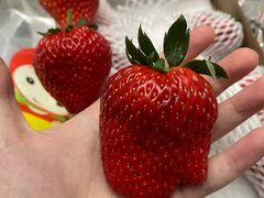 -化龙桥九宫格火锅(清水河店)