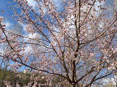 -哈尔滨师范大学(松北校区)